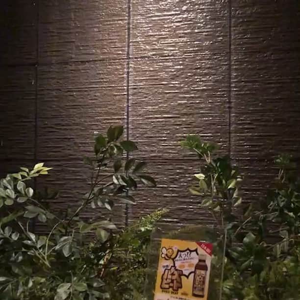 ほむら名古屋のインスタグラム：「#名古屋焼肉といえばほむらだがや ﻿﻿﻿﻿﻿﻿ ﻿﻿﻿﻿﻿﻿﻿﻿ ﻿ ﻿ 『ハッピーバースディー🎶』﻿ ﻿ ﻿ 恋人、お友達、ご家族などの素敵な日のお祝い場所として、ほむら名古屋店を利用していただくお客様も増えてきております。﻿ ﻿ ﻿ 一般的なイメージですが、誕生日といえば、フレンチで、コースを堪能しながら、お祝いしたりとか…ですが、高級肉、素敵な空間で、お祝いされた方を満足させてみては、いかがでしょうか❓﻿ ﻿ ﻿ 心に残る素敵な日になる事、間違いなし👌✨﻿ ﻿ ﻿ 本日も、ご来店お待ちしております😉﻿ ﻿ ﻿ By テラノ🐻♡﻿ ﻿ ﻿ ﻿ A５ランクの近江牛が食べれるのはほむら名古屋がNo1‼️﻿ 本日もほむら名古屋店でお待ちしております✨﻿ ﻿ 🌸忘年会シーズン到来🌸﻿ 幹事の皆さーん✨﻿ 2018年忘年会シーズンきましたよ‼️﻿ ・ゴージャス個室あり﻿ ・団体様フロア完備﻿ ・そしてほむらのお土産ありetc…﻿ もうカンペキなお店です♡﻿ ﻿ 受付開始しており混み合っておりますのでお早めに🙇‍♂️🙇‍♀️﻿ ﻿ ﻿ ﻿ ほむら名古屋店﻿ ﻿ #ほむら#homura#名古屋#肉テロ#肉﻿ ﻿ #ほむら#homura#名古屋#肉テロ#肉﻿﻿ #焼肉 #焼肉ランチ #大須 #大須観音 #上前津 ﻿ #テスト勉強 #部活 #グルメ #グルメ好きな人と繋がりたい #お誕生日会 #デート #ディナー #個室 #名古屋居酒屋 #居酒屋 #雰囲気の良いお店 #カルビ #ステーキ #牛タン ﻿ #店長テラノは最高の笑顔だった」