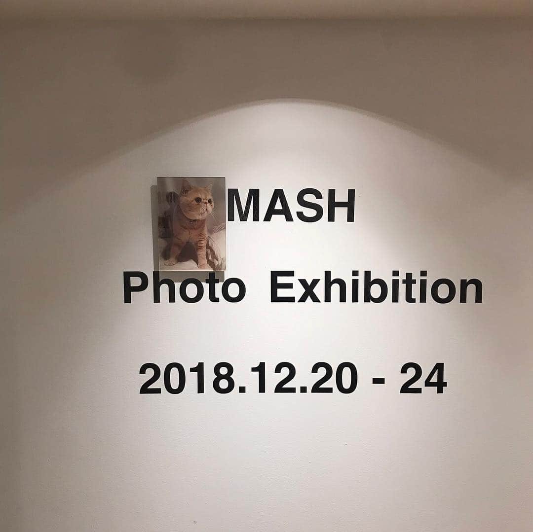 石田ゆり子さんのインスタグラム写真 - (石田ゆり子Instagram)「マッシュ展に行きました。 ヘアメイク岡野瑞恵ちゃんの 箱入り息子マッシュ。 可愛い写真と、Ｔシャツと ビッグトートをgetしました👻😊 等身大パネルが可愛くて これが欲しいんですけどと 言ってみたら非売品でした👀」12月21日 20時42分 - yuriyuri1003