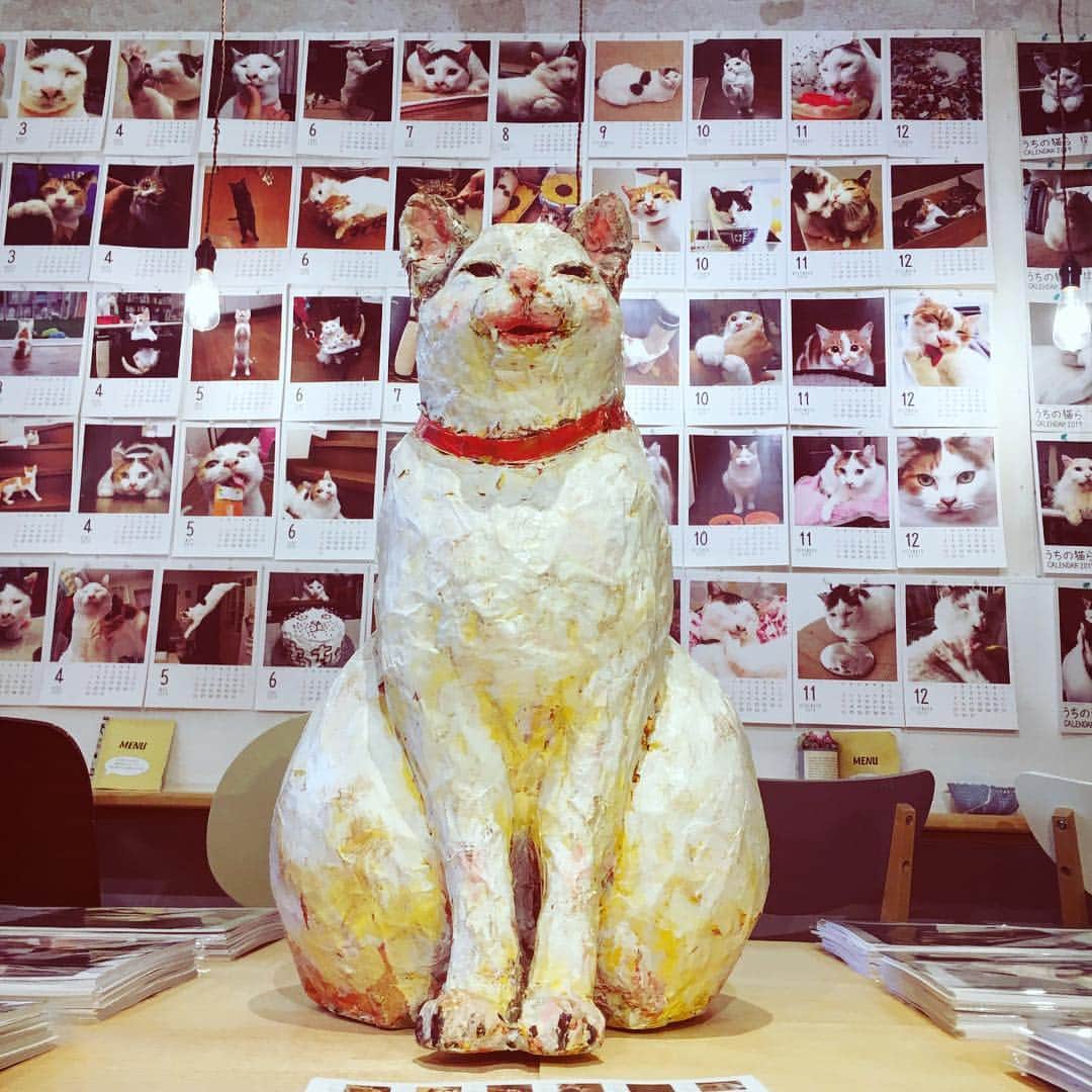 Kachimo Yoshimatsuのグルメインスタ