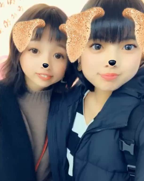 鈴木繭のインスタグラム：「🐶🐱🐭🐹🐰🦊🐻🐼🐨🐯🦁🐮🐷🐸🐵🦋🐛🐞🐢🐍🐙🦑🦐🦞🐳🐬🐟🦈🐡🐿🦔🌺💗💜❤️💙💚💛🧡 #アーカイブ #instagood #dog」