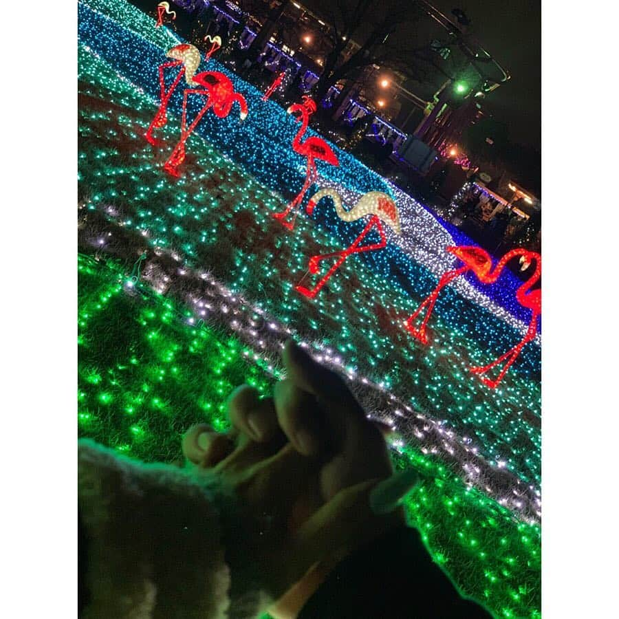 倖田來未さんのインスタグラム写真 - (倖田來未Instagram)「🎄リアル サムデイ 状態🎅﻿ ﻿ #実は昨日 #結婚記念日 #8年目突入 #観覧車から見た景色がめちゃんこ綺麗だった #イルミネーション #インスタ映え #クリスマス #christmas」12月23日 13時35分 - kodakumi_official