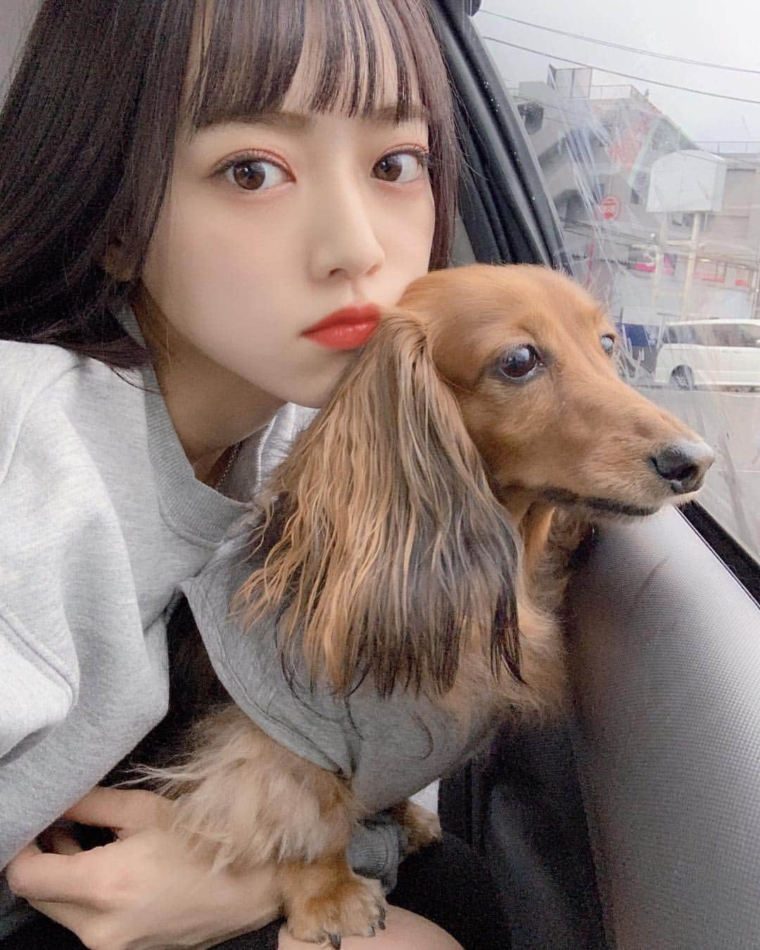 のインスタグラム：「いぶちゃん . #わん」