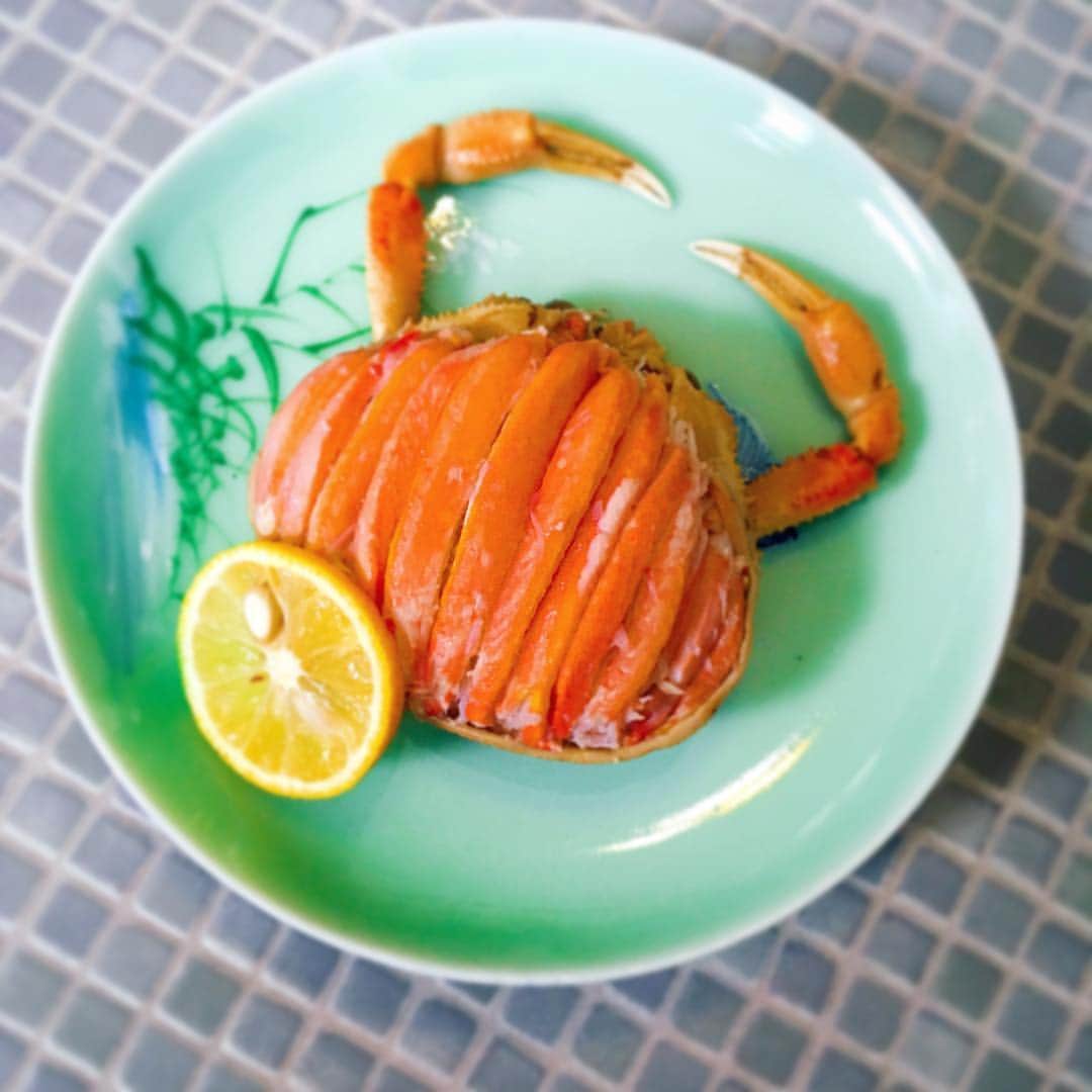 のインスタグラム：「. 最近は セコガニを入手し 蟹面にするのにはまってます⌄̈⃝ . シンプルにもてそうです⌄̈⃝ . でも彼女がこんなんだしてきたらひく と 言ってる男もいました⌄̈⃝ . 気が合わないね！！！ . 彼女がこんなんだしてきたらうれしい人、 よろしくお願い致します⌄̈⃝ . よろしくお願い致しますよ！！ .  #セコガニ #蟹面 #香箱蟹 #コッペ蟹」