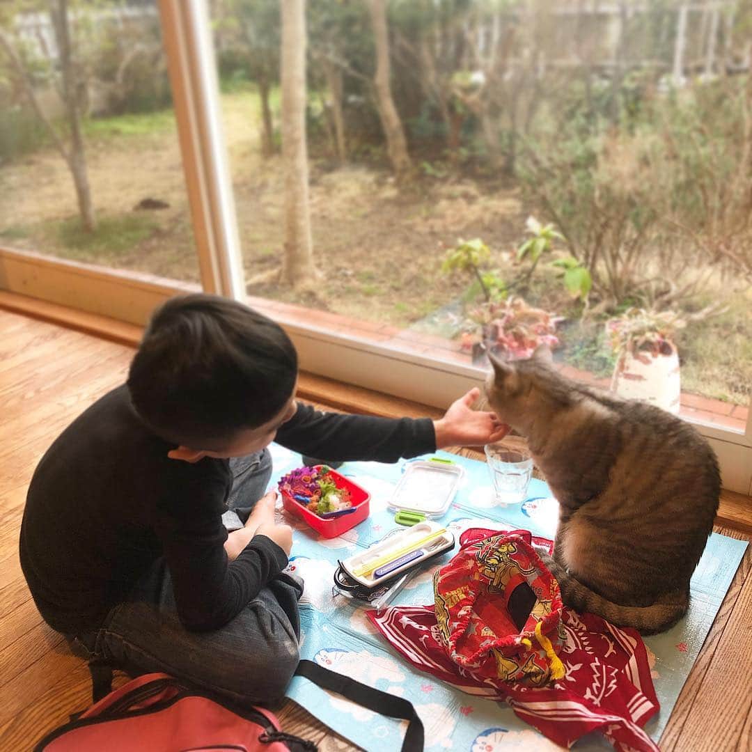 板谷由夏 さんのインスタグラム写真 - (板谷由夏 Instagram)「ママは久々のお休み。 にいにいは、パパとお弁当持って空手へ。 僕は家でお弁当。メイも一緒。」12月23日 11時26分 - yukaitaya