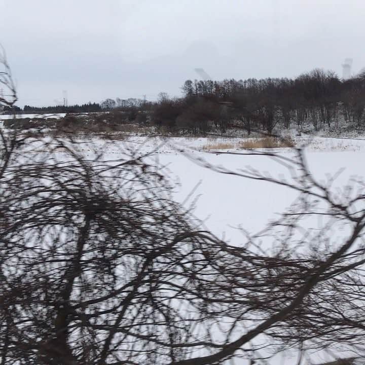 岡まゆみのインスタグラム：「雪☃️雪☃️雪☃️ 空港に向かってます✈️ #札幌#空港#雪」