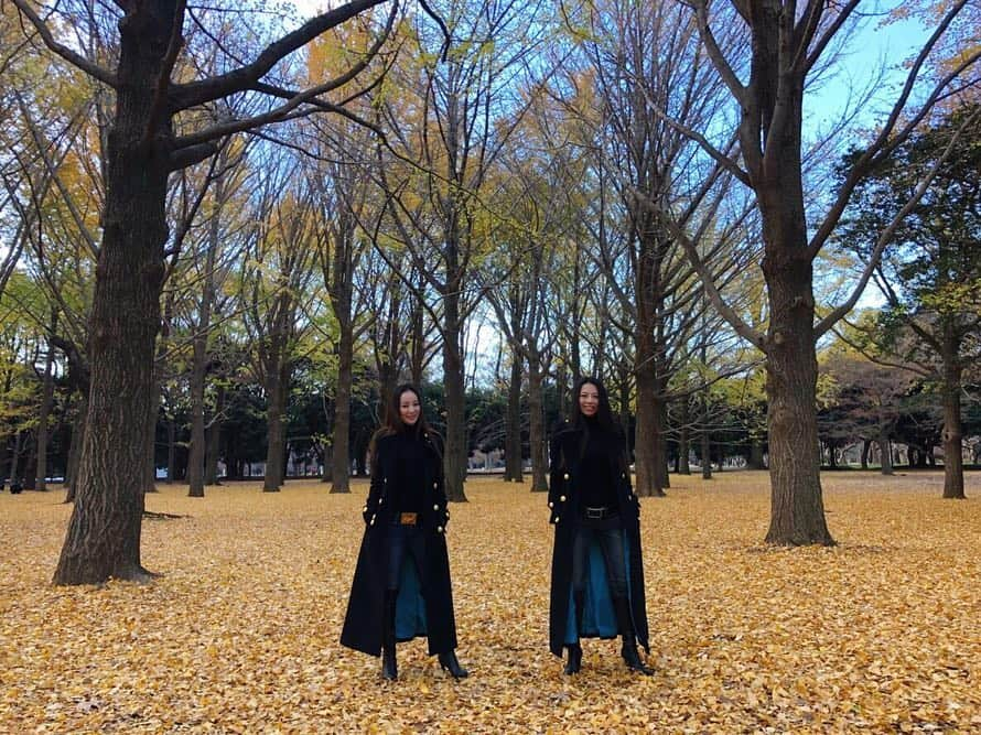 NOHANAさんのインスタグラム写真 - (NOHANAInstagram)「12/10と12/20に念願のベビドンごっこしに代々木公園へ🍁 10日でこんなにもイチョウの葉の落ち具合がぜんぜん違った！ みほしゃんもまおうも写真いっぱい撮ってくれてありがとう😂💕 ・ 代々木公園の奥の方にあるこのベビドンの木🌳 この木の周りだけが黄色の絨毯になっててまさにパワースポット💛 まじでこの木だけ雰囲気が違う😌✨ ・ ノリでやったリップシーンの真似やばいウケる🤣🤣🤣 ・ #安室奈美恵 #namieamuro #安室ちゃん #アムラー #アム活 #アムコス#babydontcry #ベビドン #ベビドンコート #SLY #ベビドンごっこ #代々木公園 #紅葉 #のはなみえ」12月23日 23時37分 - nohapppppy