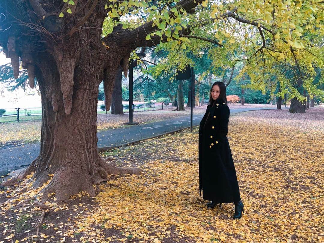 NOHANAのインスタグラム：「12/10と12/20に念願のベビドンごっこしに代々木公園へ🍁 10日でこんなにもイチョウの葉の落ち具合がぜんぜん違った！ みほしゃんもまおうも写真いっぱい撮ってくれてありがとう😂💕 ・ 代々木公園の奥の方にあるこのベビドンの木🌳 この木の周りだけが黄色の絨毯になっててまさにパワースポット💛 まじでこの木だけ雰囲気が違う😌✨ ・ ノリでやったリップシーンの真似やばいウケる🤣🤣🤣 ・ #安室奈美恵 #namieamuro #安室ちゃん #アムラー #アム活 #アムコス#babydontcry #ベビドン #ベビドンコート #SLY #ベビドンごっこ #代々木公園 #紅葉 #のはなみえ」