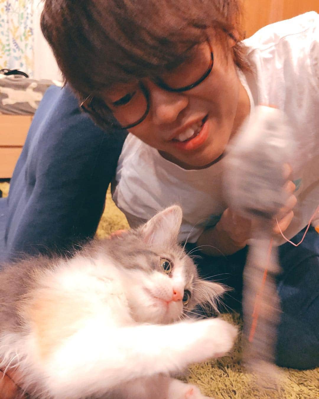 イニ（じん）さんのインスタグラム写真 - (イニ（じん）Instagram)「可愛い猫ちゃんが来ました🐰 名前はイブです⛄️⛄️⛄️」12月23日 15時57分 - jinjin10272