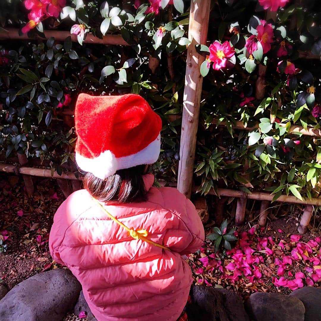 堂真理子さんのインスタグラム写真 - (堂真理子Instagram)「メリークリスマス🎄✨素敵なクリスマスをお過ごし下さい😊  #クリスマス #ケーキ #チキン #堂真理子 #テレビ朝日 #アナウンサー」12月24日 17時26分 - mariko_do