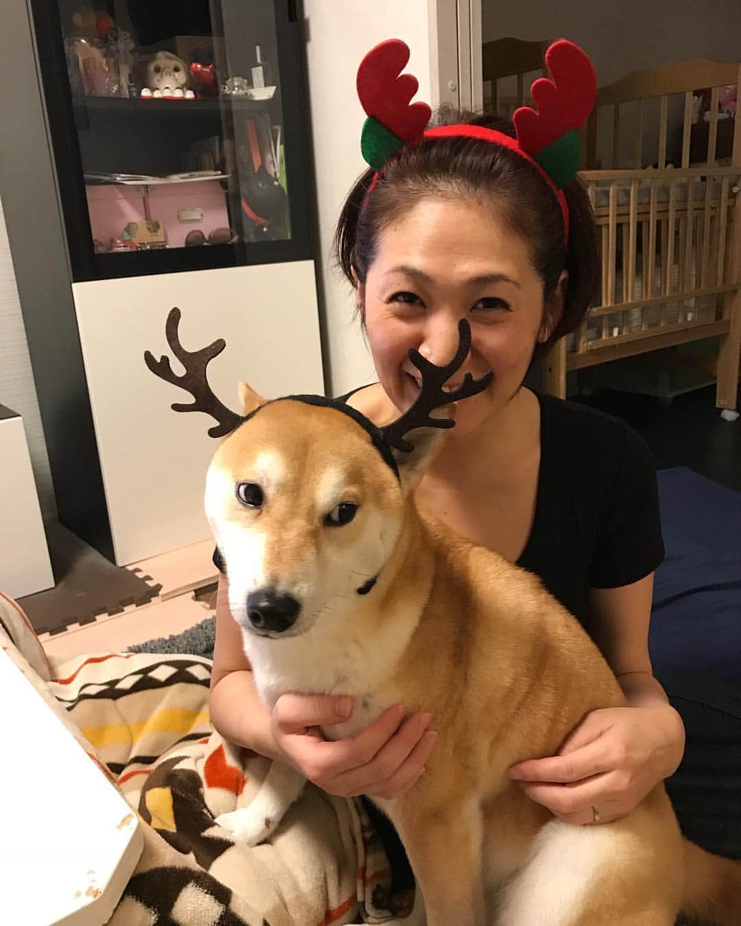 高橋みゆきのインスタグラム：「無理矢理つけました🐶👶🦌 #クリスマスイヴ #クラ吉のあからさまに嫌がる顔😂 #サンタいない🎅」