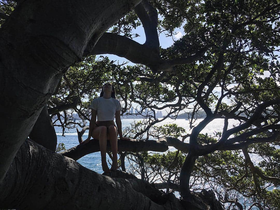 アリシア・デブナム・キャリーのインスタグラム：「Home. 🌿🌊」