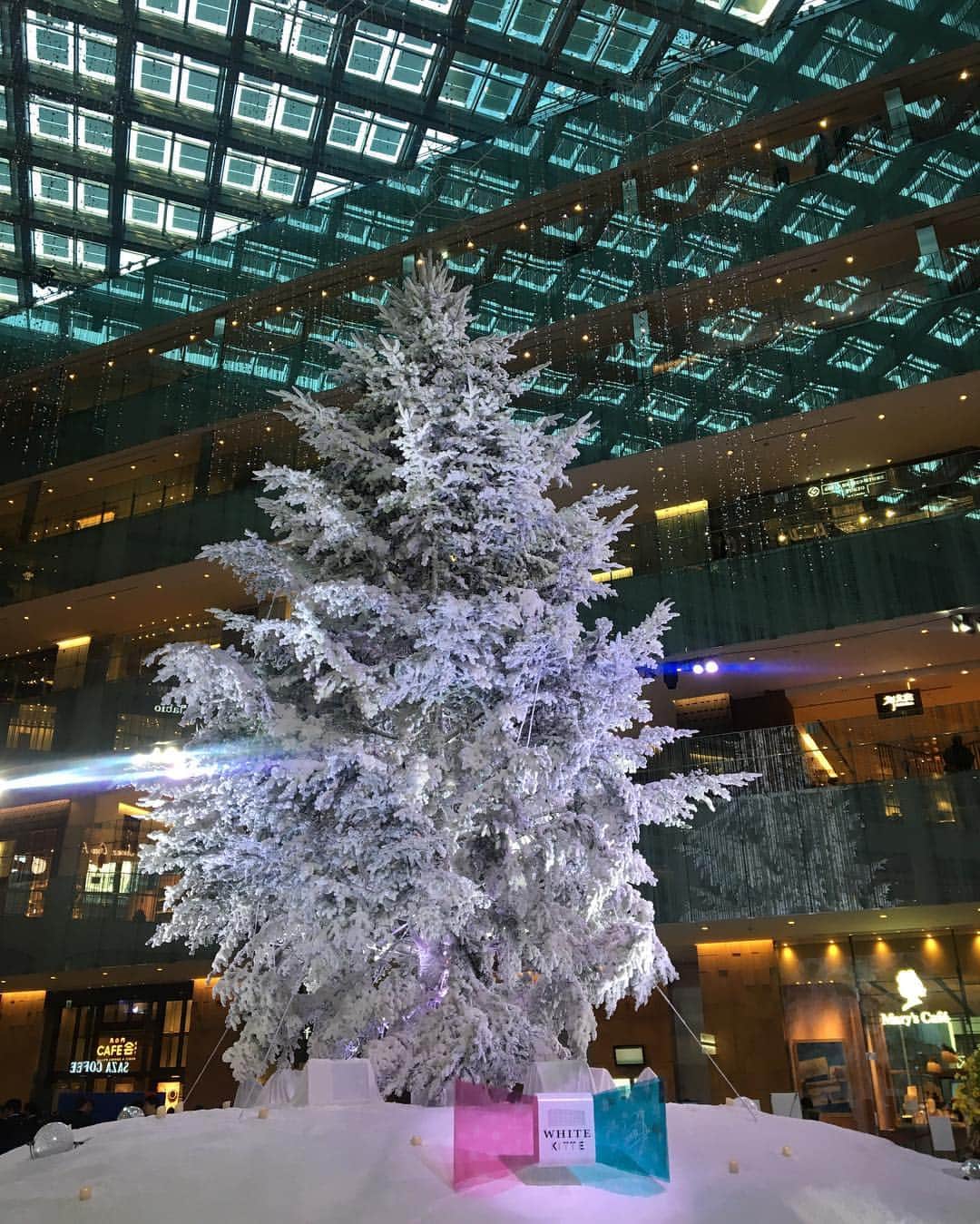 白井ゆかりさんのインスタグラム写真 - (白井ゆかりInstagram)「クリスマスイブ🎄 この前、さやっちとランチした際にステキなクリスマスツリーを見ましたよぉ^_^ ツリーの色が何色にもかわって綺麗だったなぁ✨」12月24日 12時56分 - yukari_shirai625