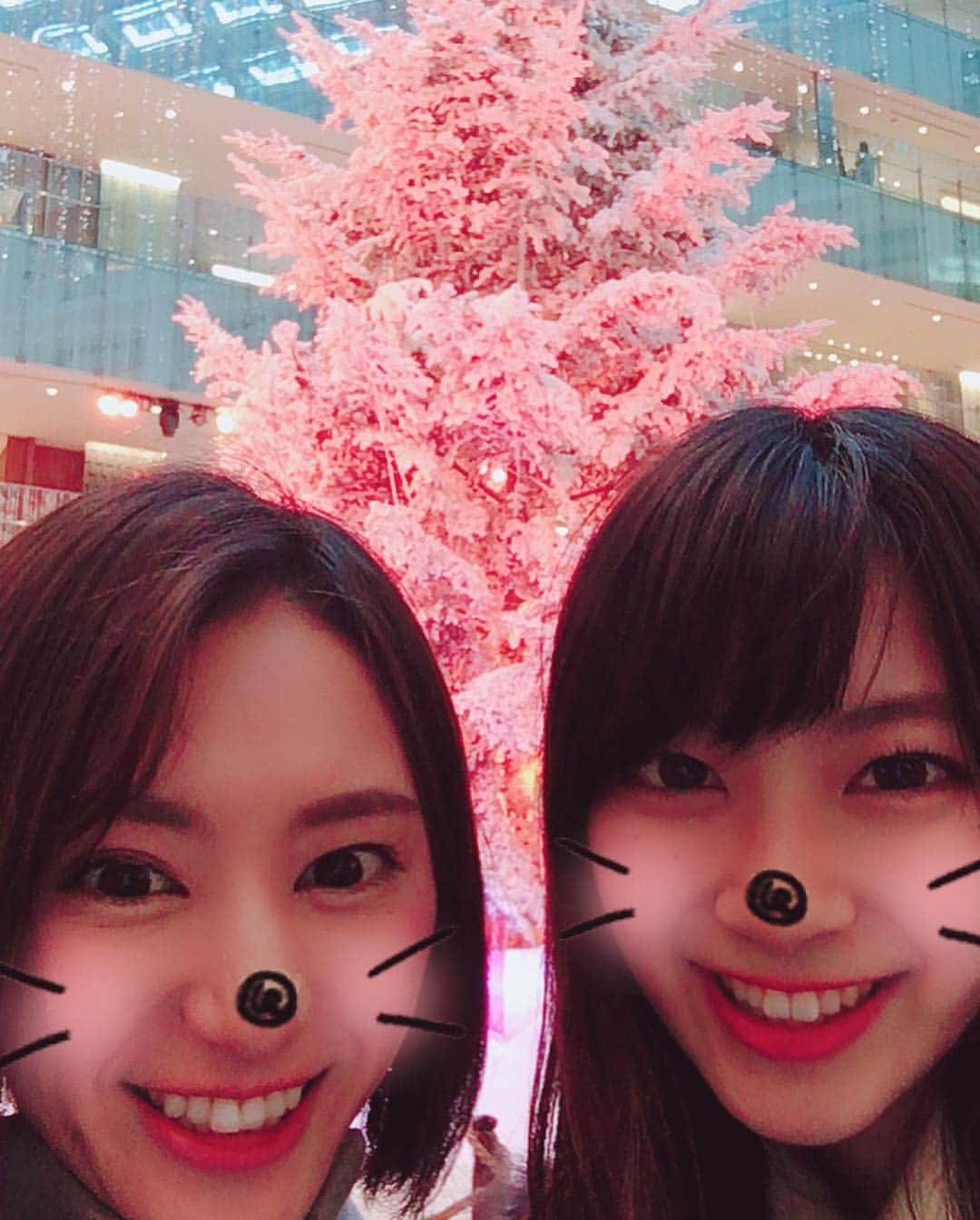 白井ゆかりさんのインスタグラム写真 - (白井ゆかりInstagram)「クリスマスイブ🎄 この前、さやっちとランチした際にステキなクリスマスツリーを見ましたよぉ^_^ ツリーの色が何色にもかわって綺麗だったなぁ✨」12月24日 12時56分 - yukari_shirai625