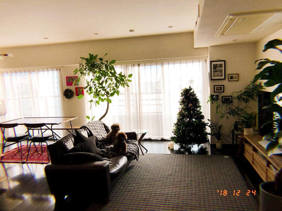 高山直子さんのインスタグラム写真 - (高山直子Instagram)「クリスマスイヴは大掃除🧹笑 家中かけまわってピカピカに🧼✨ すっきりして今夜は友達とお家でわいわいparty🎄 それぞれ素敵な夜を💓  #これが現実 #やっとの休み #大掃除 #生活感 #クリスマスイヴ #インテリア」12月24日 15時12分 - nao_70koro