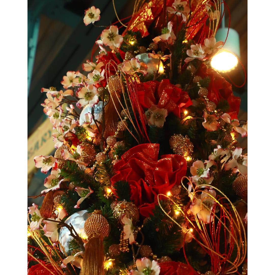 新谷良子のインスタグラム：「. 🎄メリークリスマスイブ🎄. . ということで、お気に入りのごはん屋さんに飾られていたクリスマスツリーを。 …わかる人にはわかるだろうツリーですうふふ（笑）. . ステキなクリスマスイブになりますように…(*´ω｀*). . . #クリスマスイブ #クリスマスツリー #大好きなお店のひとつ #和食屋さんです #うふふ」