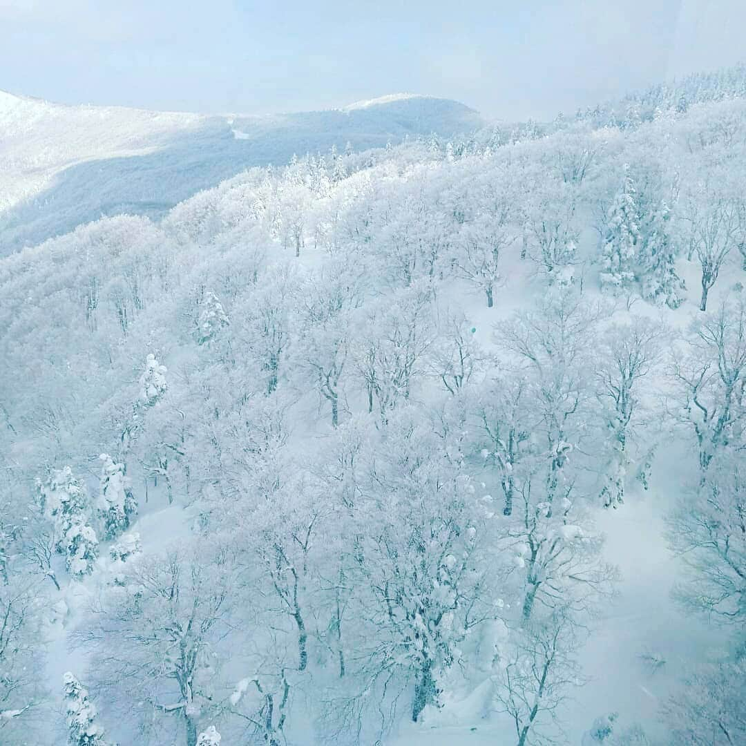 華耀きらりさんのインスタグラム写真 - (華耀きらりInstagram)「自然が生み出す芸術作品『樹氷』. 美しく幻想的で圧巻です。 . その容姿から別名『アイスモンスター』とも呼ばれてるそうな。。. . んっ？んんっ？そうだ！. 台湾の有名スイーツ店と同じ名前だ！!. . これにシロップかけたら似てるかな？. イヤーそりゃ別物だろぉーよー？？. と、一人考えながら寒さを凌いでます。. . Christmas寒波(サブいですね) . 皆様暖かくしてお過ごし下さいませ🌈 . #樹氷#芸術#アイスモンスター#icemonster #winter#christmas#寒波 #自然」12月24日 16時35分 - hi__kirari_kayo