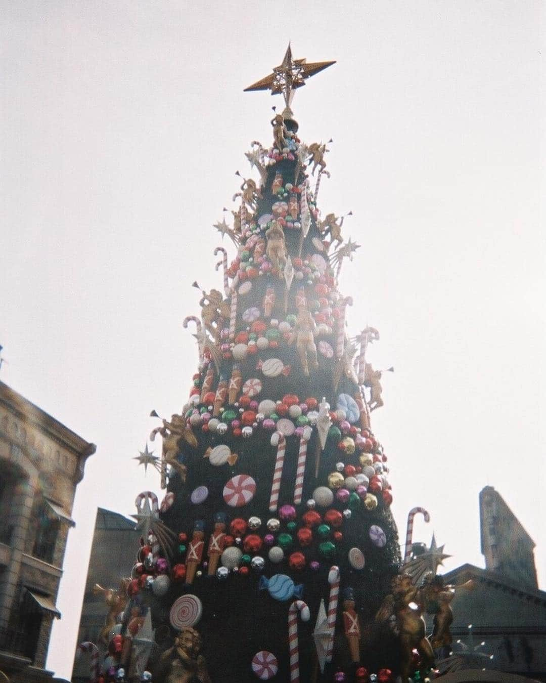 森高愛さんのインスタグラム写真 - (森高愛Instagram)「Merry Christmas Eve🤶 そして、おやすみなさい😴 . #写ルンです #film #usj のツリー🎄 #昼と夜。 私はお昼のが好きだった☺︎」12月24日 22時27分 - ai_moritaka_official