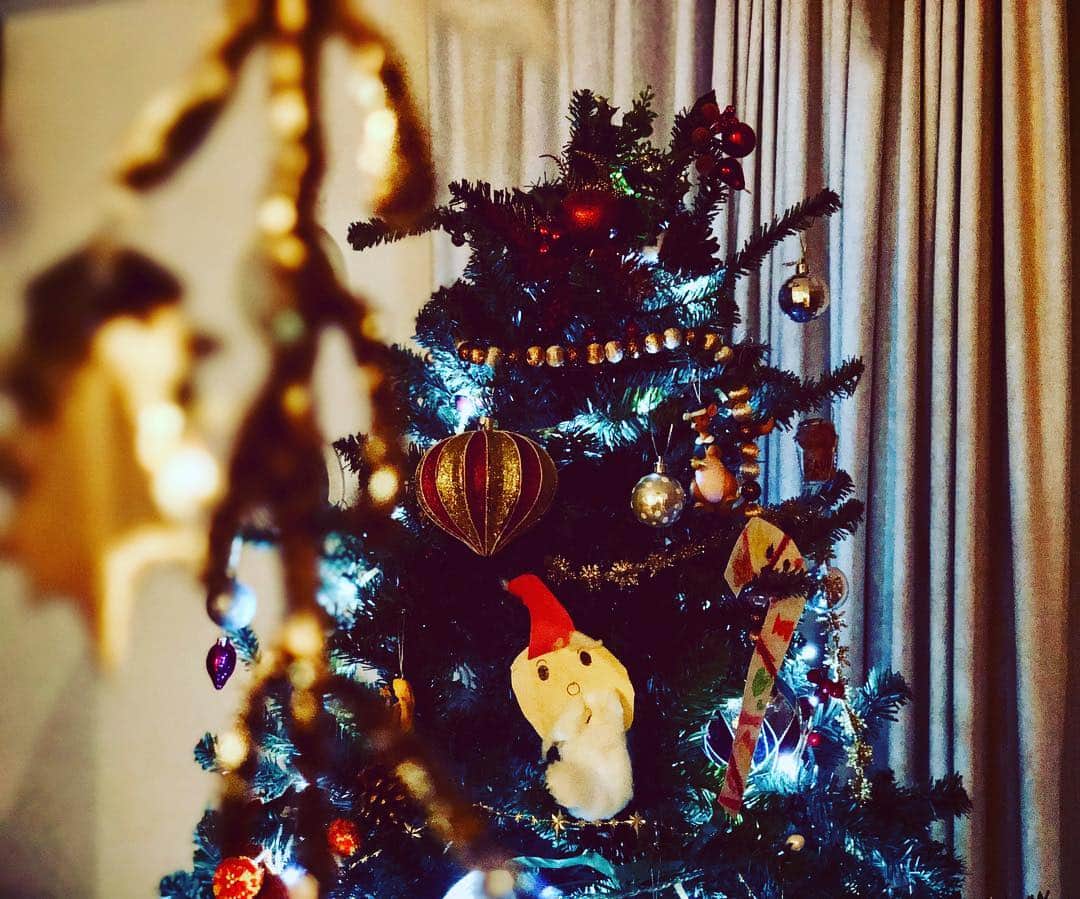 安藤裕子さんのインスタグラム写真 - (安藤裕子Instagram)「ツリーのトップにいた星が⭐️ 落ちて部品が消えた 明日がクリスマスだよね イブって何するんだろう 明日のライブのイメトレかな」12月24日 23時14分 - yuko_ando