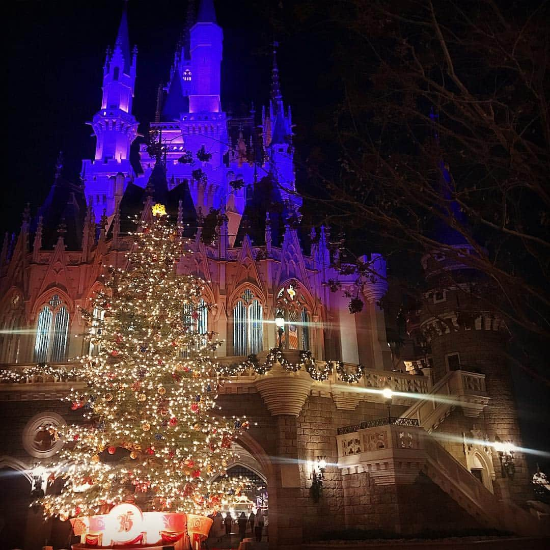 yuichi1003のインスタグラム：「. 皆様素敵なクリスマスを！ . #ディズニー #ディズニーランド #夢の国 #disneyland  #disney #シンデレラ城」