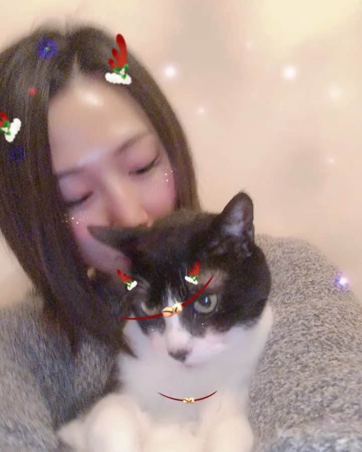 佐山愛のインスタグラム：「❤︎ ・ ❤️🎄Merry Christmas🎄❤️ ・ ・ まさかのタイミングで扁桃腺炎になり、 クリスマスどころじゃないけど😷 ・ 気持ちだけハッピークリスマス🤣」