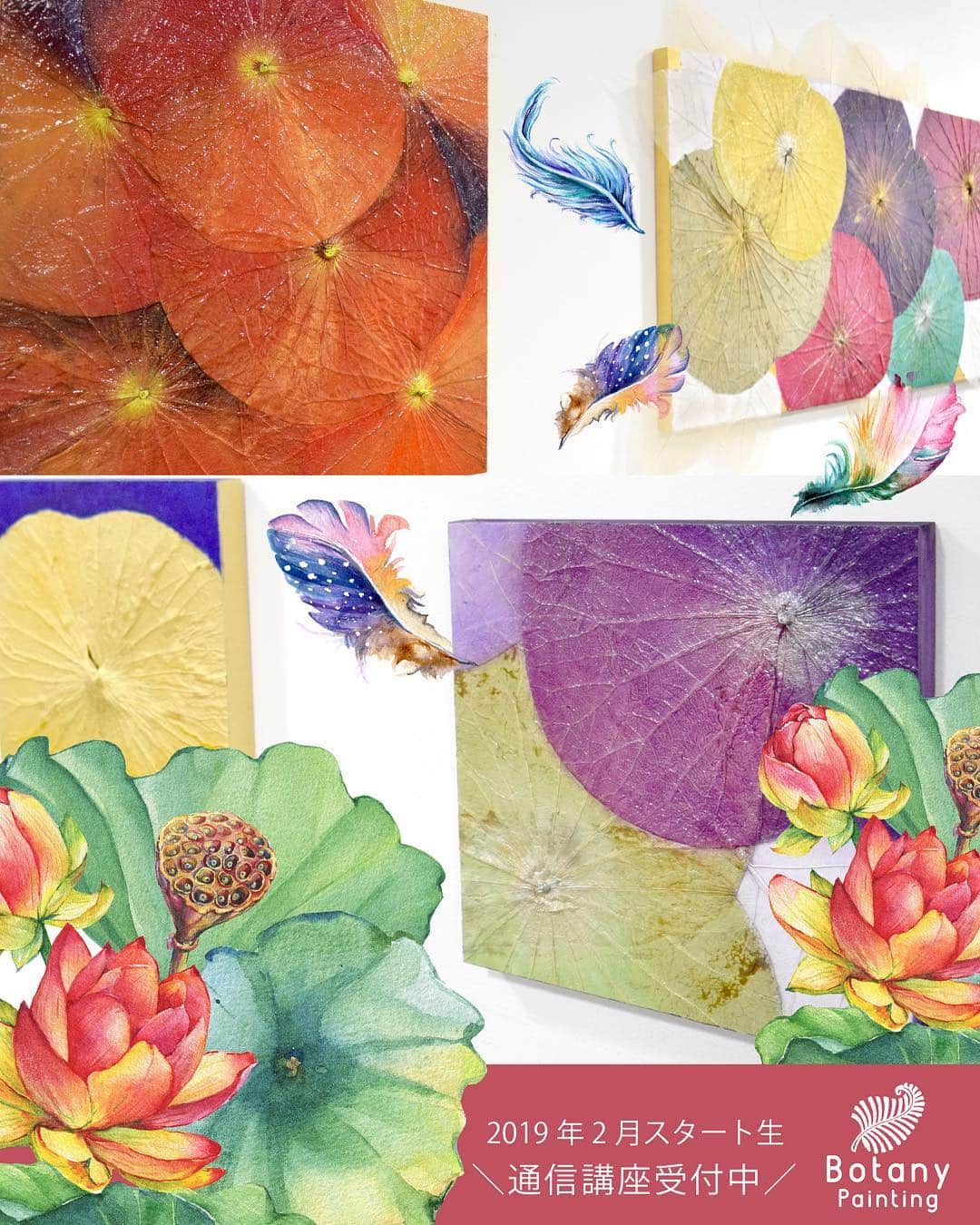 botanypaintingさんのインスタグラム写真 - (botanypaintingInstagram)「天然の蓮の葉を自分で並べ着色する 初心者でも安心のアート講座！ 【2019年2月スタートの通信講座】の 募集を開始しました。 限定20名様の募集になります。 https://botanypainting.com ーーーーーーー LIFE is ART Botany Painting * * #ボタニーペインティング #蓮 #インド菩提樹 #ロータス #ロータスリーフ #アート #ボタニーペインティング通信講座 #ワークショップ #インテリア #蓮の葉 #ボタニカル #アントレサンフラッペ #ロータスリーフペイント」12月25日 9時42分 - botanypainting