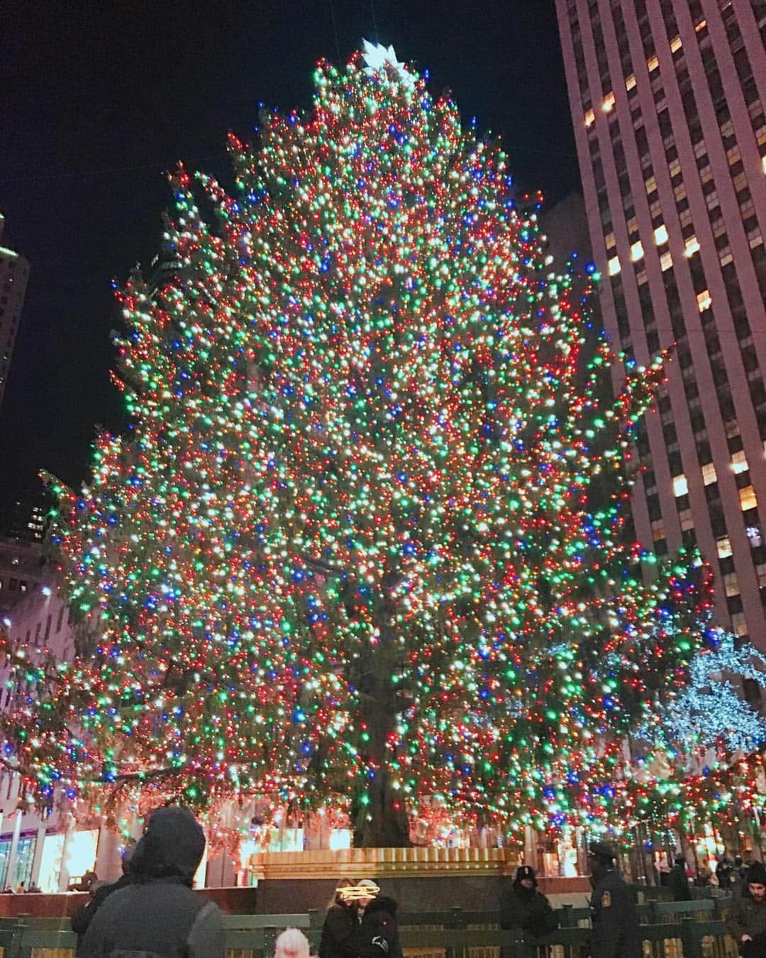 グースクールオフィシャルさんのインスタグラム写真 - (グースクールオフィシャルInstagram)「🎅🎄🎂 . . ⭐️Merry Christmas⭐️ . . みなさまがhappy🌈な1日を過ごせますように。。 . . . #クリスマス #クリスマスツリー #サンタクロース #イルミネーション #趣味 #習い事 #手作りプレゼント #ハンドメイド #グースクール #merrychristmas #christmas #christmastree #nyc 📸New York City」12月25日 10時48分 - gooschool_official