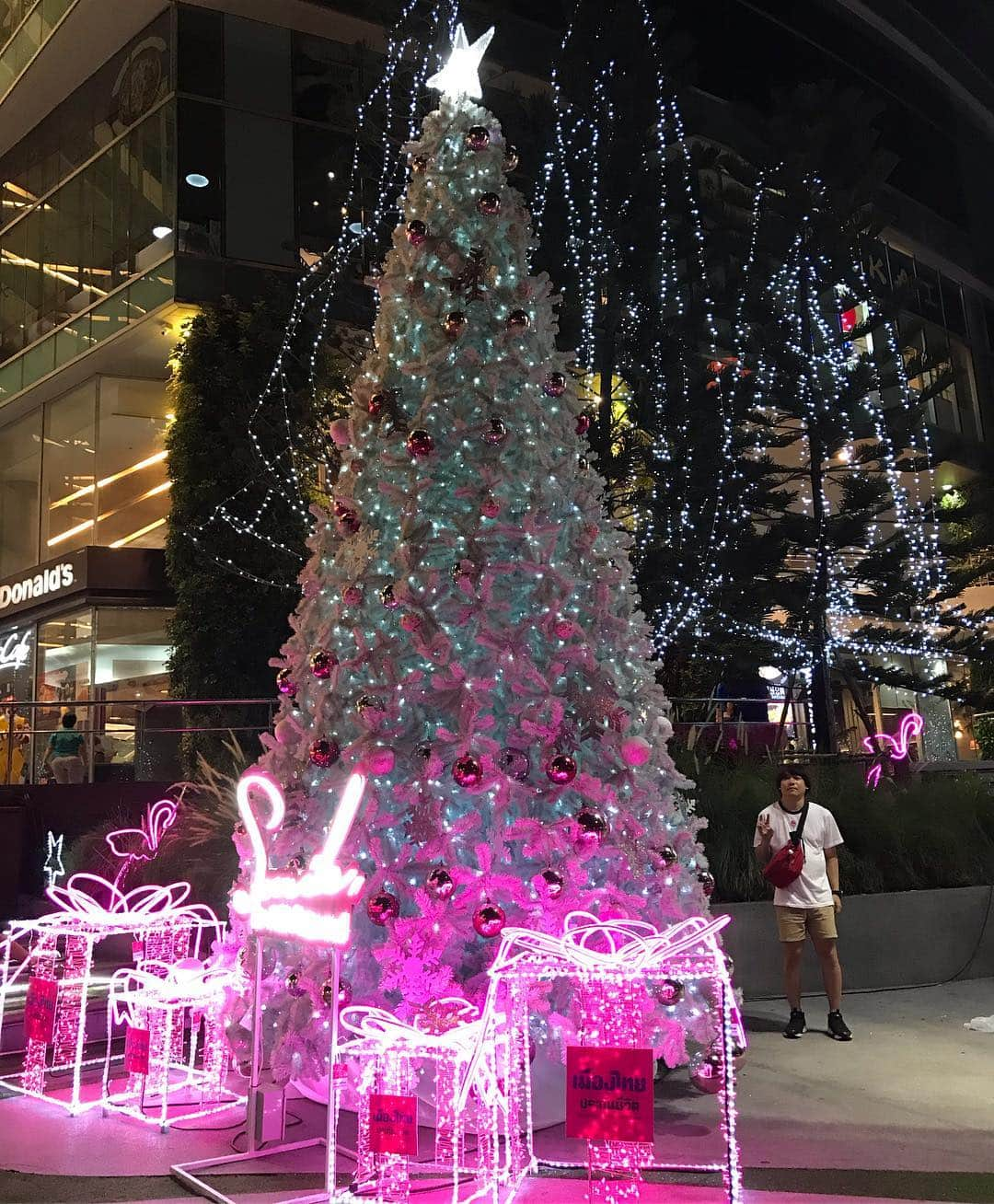 白井鉄也さんのインスタグラム写真 - (白井鉄也Instagram)「クリ  #クリ #クリオネ #Clione #クリスマス #xmas #ツリー #tree #タイ #Thailand #旅 #tour #トラベル #travel #タイ文化センター駅 #me #tbt #love #cute #instlike #instgood」12月25日 17時49分 - shiraichimon