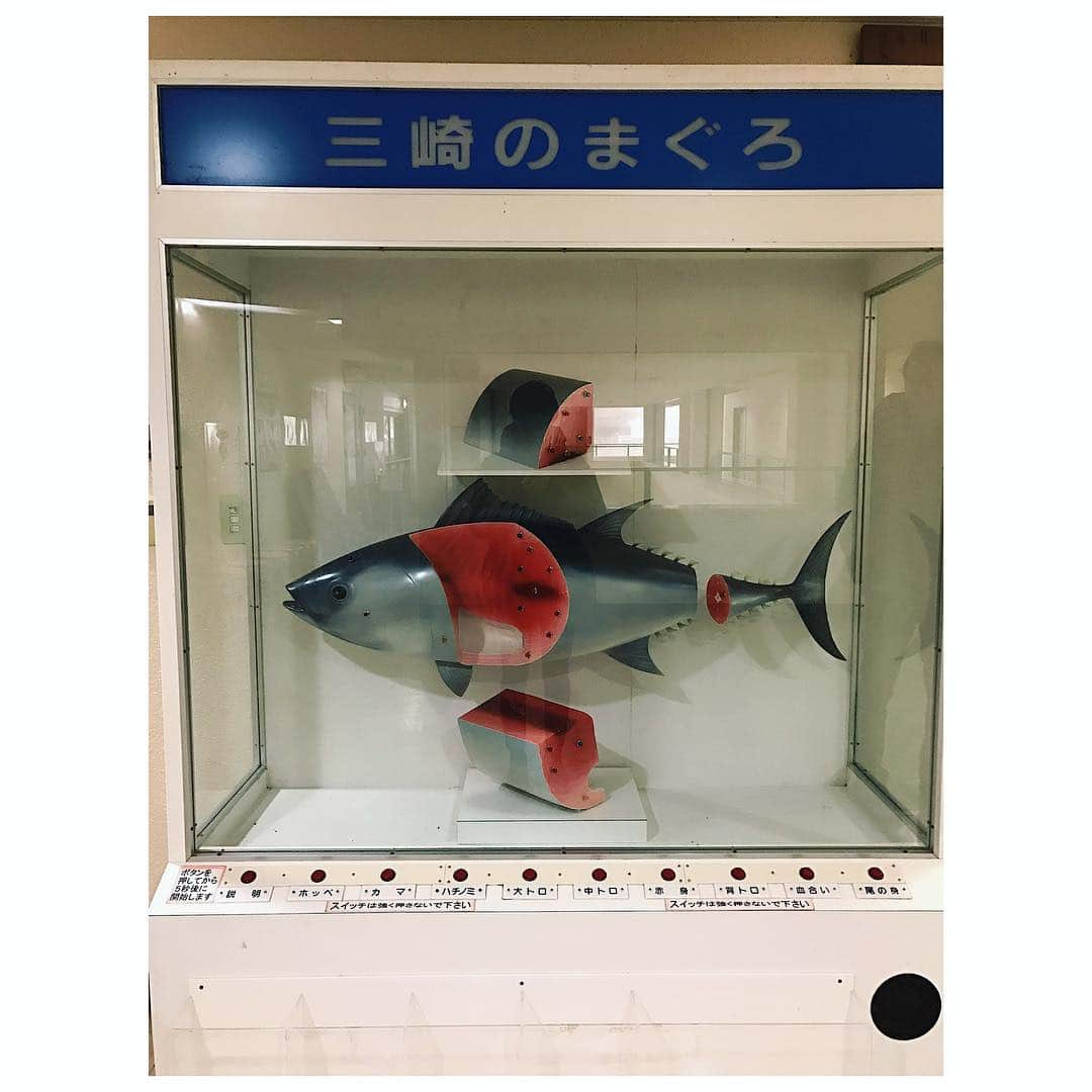 愛可さんのインスタグラム写真 - (愛可Instagram)「・ 美味しいもの沢山の三浦港。 新鮮なお魚をお腹いっぱいいただいて 幸せでした。 ・ ・ 早起きして三崎卸売市場も見学！ 市場内の食堂のミックスフライ定食のボリュームったら。  さっきまで生きていたかと思うと、残す事なんて出来ません。 お昼からお腹ぱんぱんでした。 ・ ・ 魚屋さんがやっている、『まるいち食堂』（写真2、3枚目）のお刺身も、新鮮で身がぷりぷりで美味しかったなぁ。 ・ ・ 町の中華屋さん『牡丹』の焼売も絶品でしたよ。 三崎グルメも堪能して、お野菜も買って帰って来ました。 また行きたい！なんなら住みたい！楽しい三崎の旅でした。 ・ ・ #三崎グルメ #三崎港グルメ  #まるいち食堂 #三崎まるいち食堂  #三崎水産物地方卸売市場 #愛可散歩 #三浦大根」12月25日 18時11分 - aikick