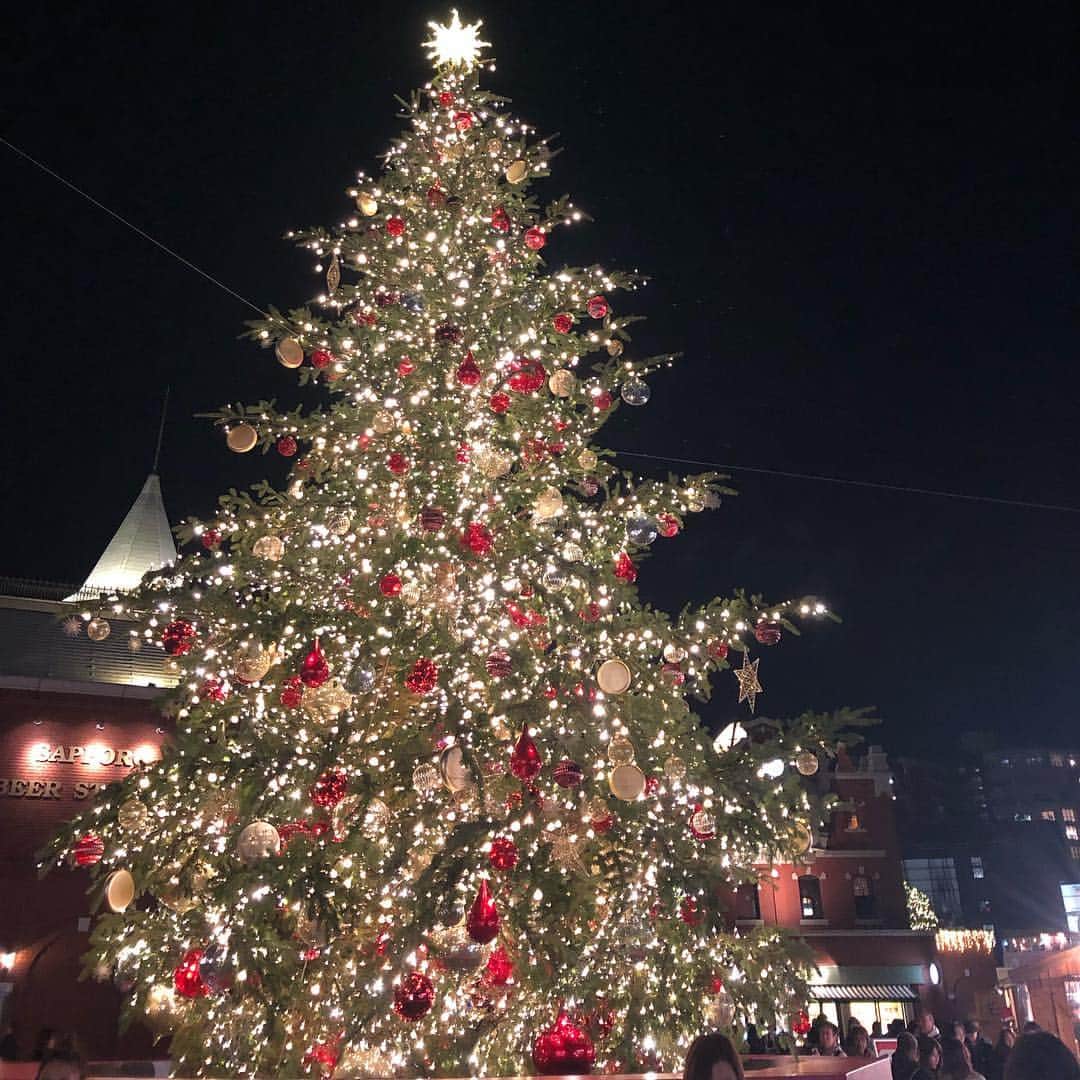 石川理咲子さんのインスタグラム写真 - (石川理咲子Instagram)「#christmas Merry christmas🎄 みなさま、ステキなクリスマスの夜を...❤️」12月25日 19時08分 - rsk_0315