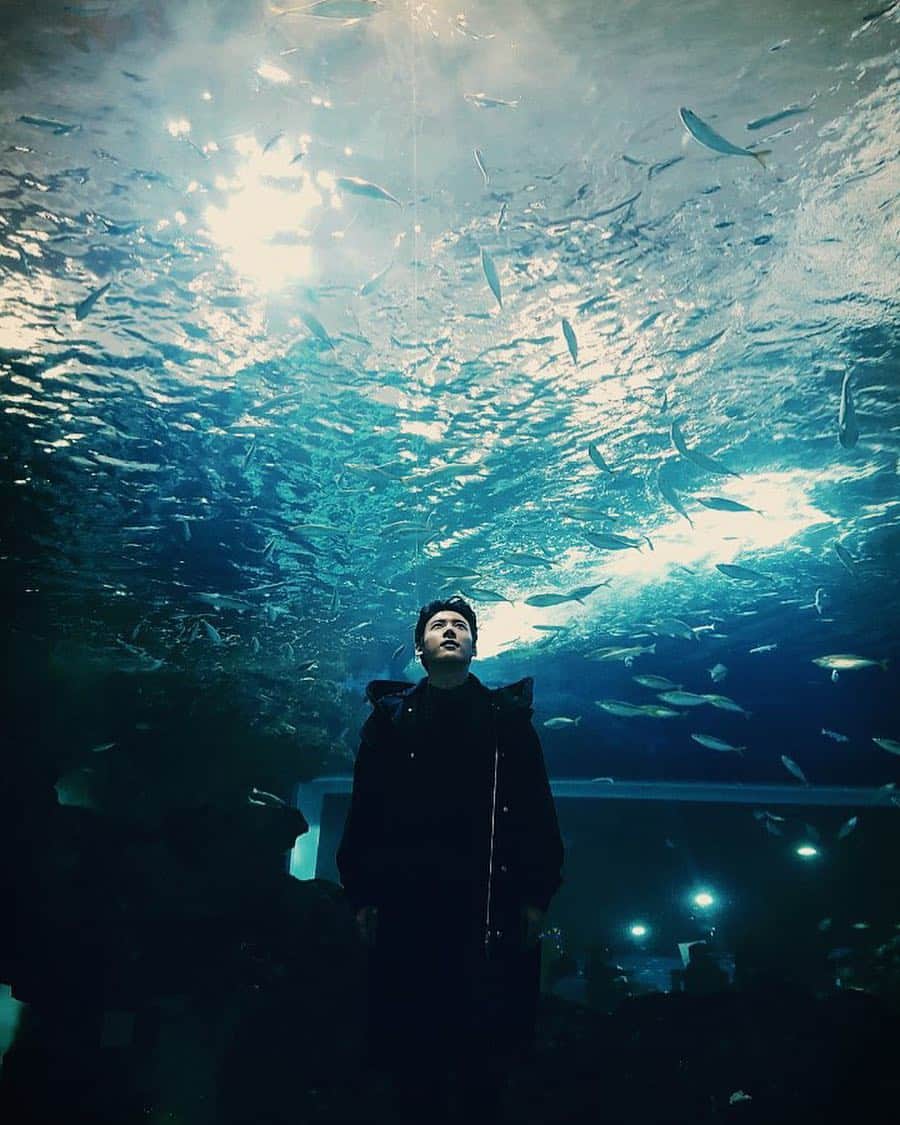 ユイルのインスタグラム：「AQUAMAN」