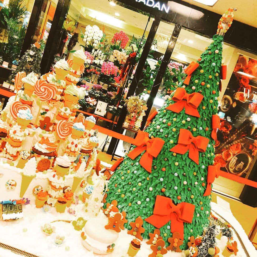 花原あんりのインスタグラム：「みなさん、メリークリスマス☺️🎄💗 どんなクリスマスをお過ごしですか✨ 私はたまたま通りかかった所でゴスペルを聞くことができて一人で感動しておりました😭💗 みなさんも温かなクリスマスをお過ごしできますように🍀  #singers #singing #musics #japan #vocals #acoustic #tflers #artist #artiste #photooftheday #artistic #television #vocals #like4like #singer #tflers #instadaily #musician #swag #MC #moodygrams #guitarist #東京 #insta #instagram #love #l4l #instagood #クリスマス #イルミネーション」