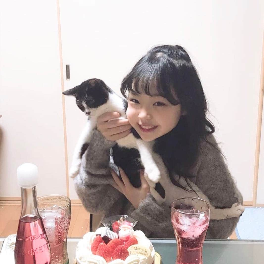 Hinataさんのインスタグラム写真 - (HinataInstagram)「. . 猫の「サン」もだぁ〜いすきなケーキ💓💓 仲良く一緒に食べたよ🎂 . 家族と一緒にクリスマス過ごしました🧡 . Merry Christmas🎄✨✨ . . #クラージュキッズ  #野々山ひなた  #Hinata #TikTok #YouTube #アメブロ #Hinataぼっこ #クリスマス #サンとケーキ食べた」12月25日 20時54分 - hinachosugram