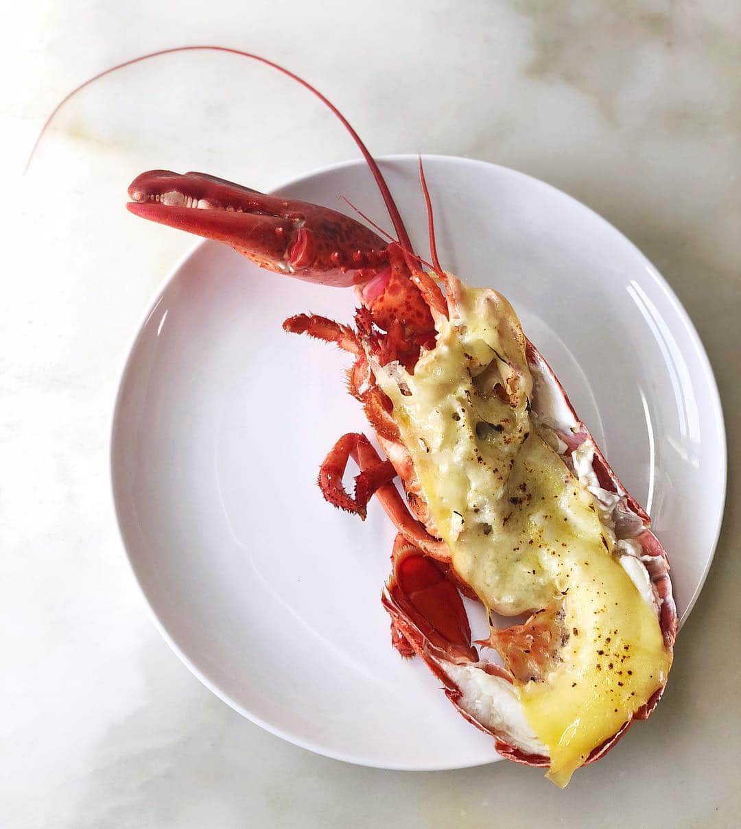 DOMINIQUE ANSEL BAKERYさんのインスタグラム写真 - (DOMINIQUE ANSEL BAKERYInstagram)「Lobster Raclette, with fresh New England lobster gently cooked and topped with gooey, melted salt-brined Reading Raclette cheese from Spring Brook Farm in Vermont. 🦞One of five “cheesy” courses that we have lined up for U.P. Fromagerie, our new menu served at U.P. (short for “Unlimited Possibilities”), our 10-seat tasting table hidden upstairs at @DominiqueAnselKitchen. Tickets go live this FRIDAY at 12pm at UP.DominiqueAnselKitchen.com and @Resy for seatings every Wed-Sun at 8pm starting Feb 13th. See you all here soon for 🧀. #UnlimitedPossibilties #UP #UPFromagerie #DominiqueAnselKitchen @cheesemonger325 @saxelbycheese」1月24日 0時59分 - dominiqueansel