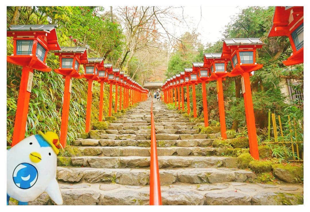 DeNAトラベルのインスタグラム：「京都の #貴船神社 に行ってきたよ～﻿ やっぱり日本の景色は心が落ち着くね～﻿ ﻿ 去年いろんなところを旅できて楽しかったな～﻿ ﻿ ◇◇◇◇◇◇◇◇◇◇ ﻿ ﻿ 現在エアトリのアカウントでは「#エアトリさんの旅行日記」をテーマに「思わず旅に出たくなるステキな写真」をご紹介しています。 【ステキなお写真募集中！】 #エアトリさんの旅行日記 での投稿お待ちしております厳選して紹介させていただきます。﻿ ﻿ #エアトリ #AirTrip #新キャラ #エアトリさん #エアトリさんの旅行日記 #旅行 #一人旅 #国内旅行 #日本 #京都 #貴船神社 #神社 #神社仏閣巡り #旅行好きな人と繋がりたい #写真好きな人と繋がりたい #travelgram #trip  #followme #beautifuljapan #japantravel　#discoverjapan #asia #asiatravel #japan #kyoto #shrine #kifuneshrine #toytravel #toytraveler #traveltoy」