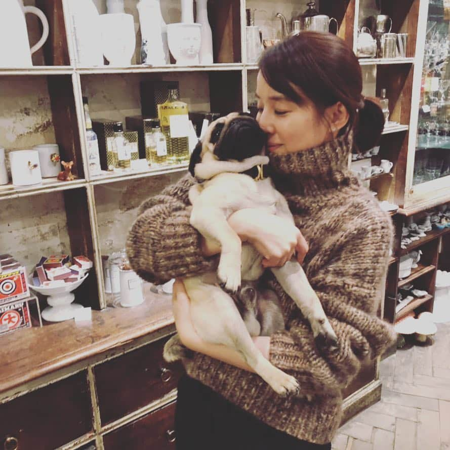 石田ゆり子さんのインスタグラム写真 - (石田ゆり子Instagram)「またしてもパリでの写真。 大好きなアスティエのお店にて。可愛すぎる子をみつけて ぎゅうぎゅうして参りました。  実は昨日まで 腹痛を伴う風邪をひいており、「体のどこかが痛い」ことの辛さをしみじみと感じました。 いま、体のどこかに痛みを持っている皆さんの気持ち、 ほんとにほんとに少しだけわかりました。 わたしの痛みが 誰かの痛みの代わりならいいのにとそんなことをうっすら思いました。 健康のありがたさもヒシヒシと感じたけれど それよりも、 痛みを抱えていらっしゃるかたがたの日々から 少しでも痛みをとってあげたいとそう思った、二日間でした。  #マチネの終わりにパリでの日々 #タマティーノ写真館」1月23日 22時17分 - yuriyuri1003