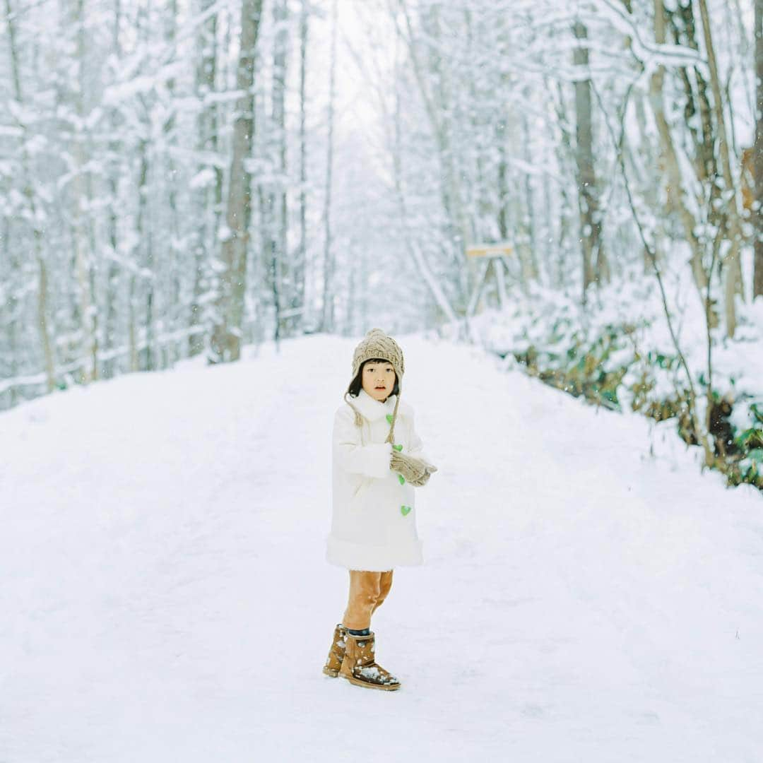 濱田英明さんのインスタグラム写真 - (濱田英明Instagram)「@suntory_greendakara, 2019 #グリーンダカラ #eos1v」1月23日 23時11分 - hamadahideaki