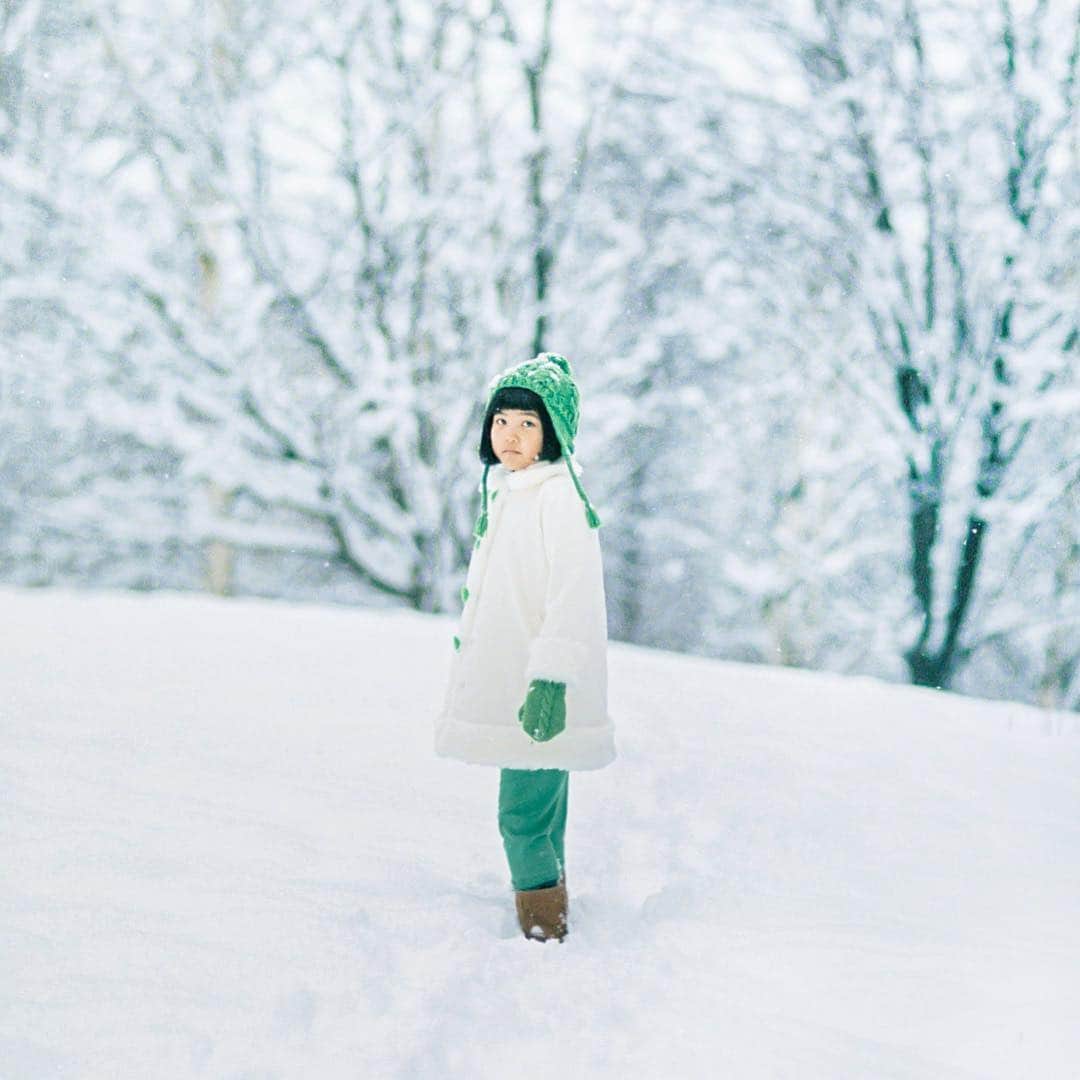 濱田英明のインスタグラム：「@suntory_greendakara, 2019 #グリーンダカラ #eos1v」