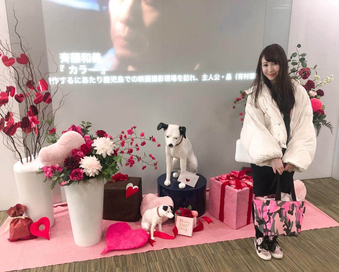 若林愛さんのインスタグラム写真 - (若林愛Instagram)「Megumi♡Keiでビクターエンターテイメントさんへ行ってきた！バレンタイン仕様のニッパーくん✨」1月23日 23時35分 - megumi.cl
