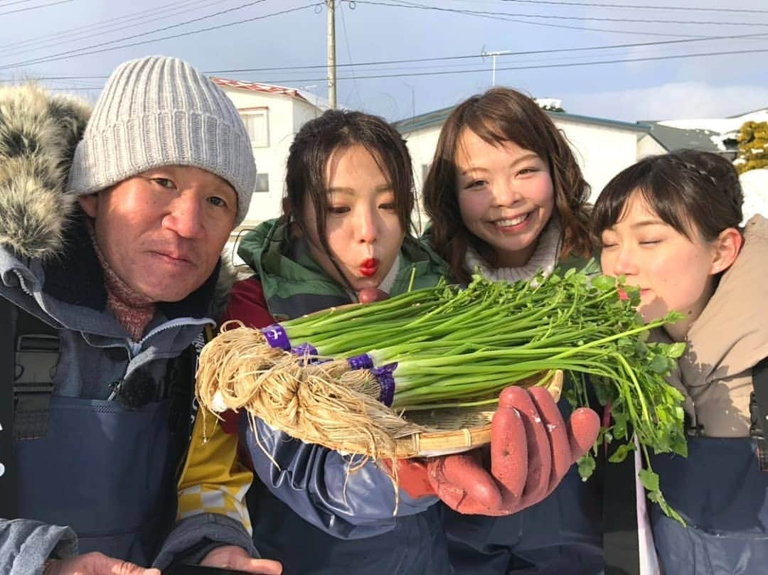 服部未佳さんのインスタグラム写真 - (服部未佳Instagram)「先週の旅サラダ生中継は、青森県弘前市の「一町田セリ」ラッシャーさんと共にご紹介しました✨ その後のハッピィでは、ばーんのお二人も😆 寒さで凍ったセリ田の中での収穫、厳しい作業です…！良い湧き水で育ったセリは、根も茎も太くしっかりしていて、香りも豊か。これまで脇役だと思っていたセリの魅力、再発見でした！セリが主役のお料理、どれもすごく美味しかったです！ 一町田セリを守る会の皆さん、収穫体験からセリ料理のお振る舞いまで、ありがとうございました😊 #セリ #一町田セリ #セリ鍋 #旅サラダ #ラッシャー板前 さん #ばーん #髙田千尋 さん #ユイティ さん #ハッピィ」1月23日 23時43分 - mikahattori_aba