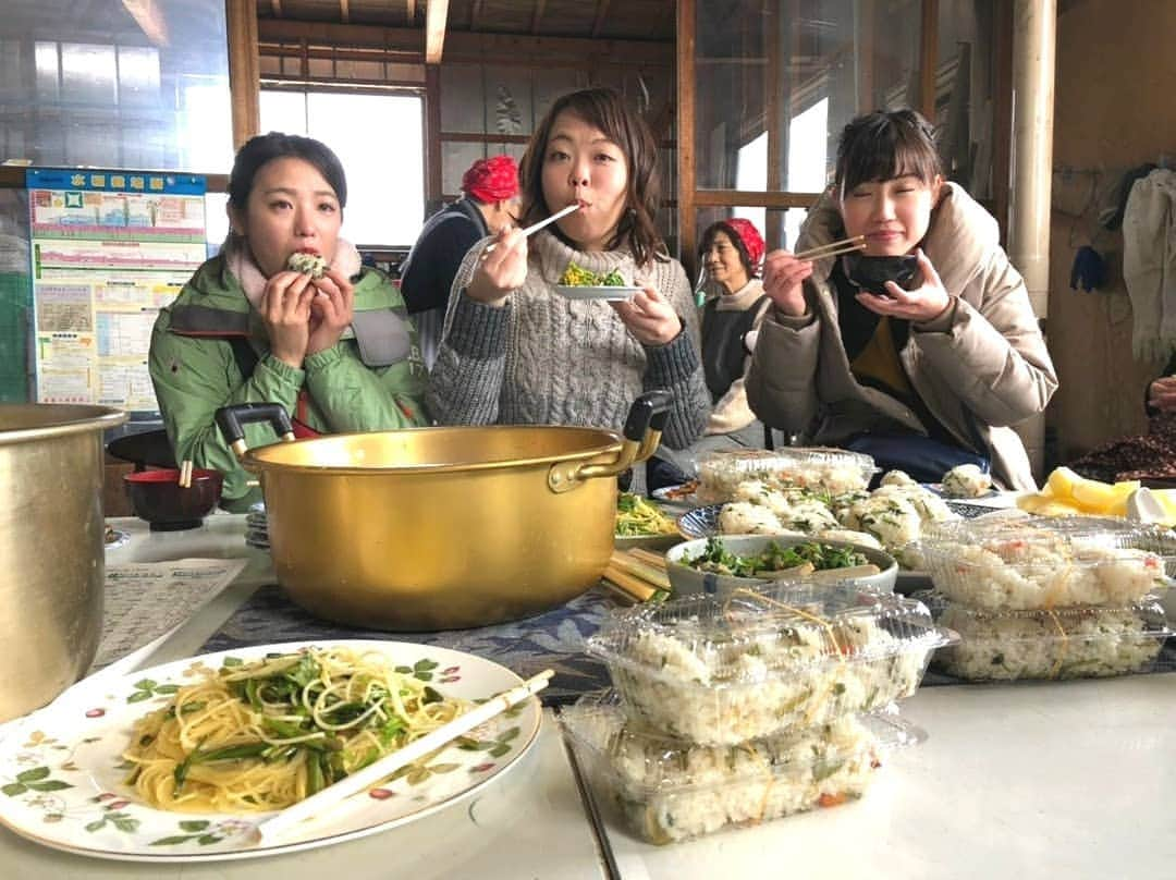 服部未佳さんのインスタグラム写真 - (服部未佳Instagram)「先週の旅サラダ生中継は、青森県弘前市の「一町田セリ」ラッシャーさんと共にご紹介しました✨ その後のハッピィでは、ばーんのお二人も😆 寒さで凍ったセリ田の中での収穫、厳しい作業です…！良い湧き水で育ったセリは、根も茎も太くしっかりしていて、香りも豊か。これまで脇役だと思っていたセリの魅力、再発見でした！セリが主役のお料理、どれもすごく美味しかったです！ 一町田セリを守る会の皆さん、収穫体験からセリ料理のお振る舞いまで、ありがとうございました😊 #セリ #一町田セリ #セリ鍋 #旅サラダ #ラッシャー板前 さん #ばーん #髙田千尋 さん #ユイティ さん #ハッピィ」1月23日 23時43分 - mikahattori_aba