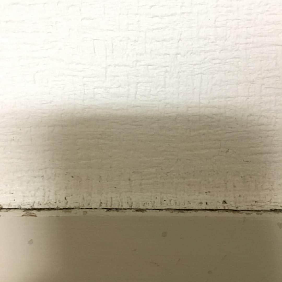 浅井優のインスタグラム：「あさい目線。。。 １枚目の写真はあさいが見ている光景です  なにか分かりますか？  正解は ↓ ↓ ↓ ↓ ↓ ↓ ↓ ↓ ↓ ↓ ↓ ↓  ドアの上の部分（鴨居）でした！！ #あさい目線 #約2メートルの目線 #本当は１９３㎝の目線 #この目線の #お姑さんが居たら嫌 #「さちこさんここまだホコリ残ってますわよ」 #そんなとこお前しか見えねーよ！！ #と思いつつも #「すみませんお義母さま」 #的なことになる #１枚目の画像見たら実際に汚れてるな、、、 #アサインスタワー #193目線 #一休さん目線 #別世界へようこそ #高いところからすみません #あさいタワー」