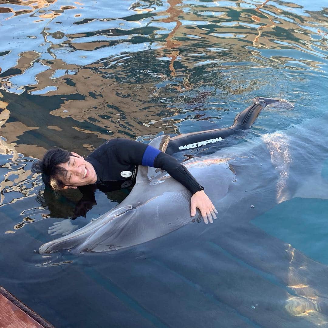 柴田英嗣のインスタグラム：「添い寝シリーズ第2弾  #イルカ #スベスベ #海豚と書いてイルカ #豚と書くけどカバの仲間 #さみー #すげーさみー #イルカの視力0.１だって #見えなっ！！ #そのかわりエコロケーションと言って電波のようなものを出して海中を探るように進化したんだって #いや視力良くなれ！！！ #とにかくさみー」