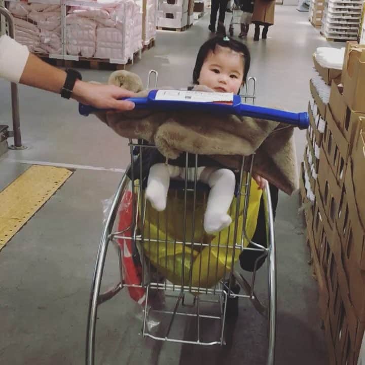 小松美緒のインスタグラム：「先日、初IKEAで、 初🛒♡ babyの🛒姿、破壊力半端ない♡♡ #7カ月baby  #保育園デビュー  #こないだのおやすみ #家族day☺︎ #買ったものはほぼことちゃんの。笑」