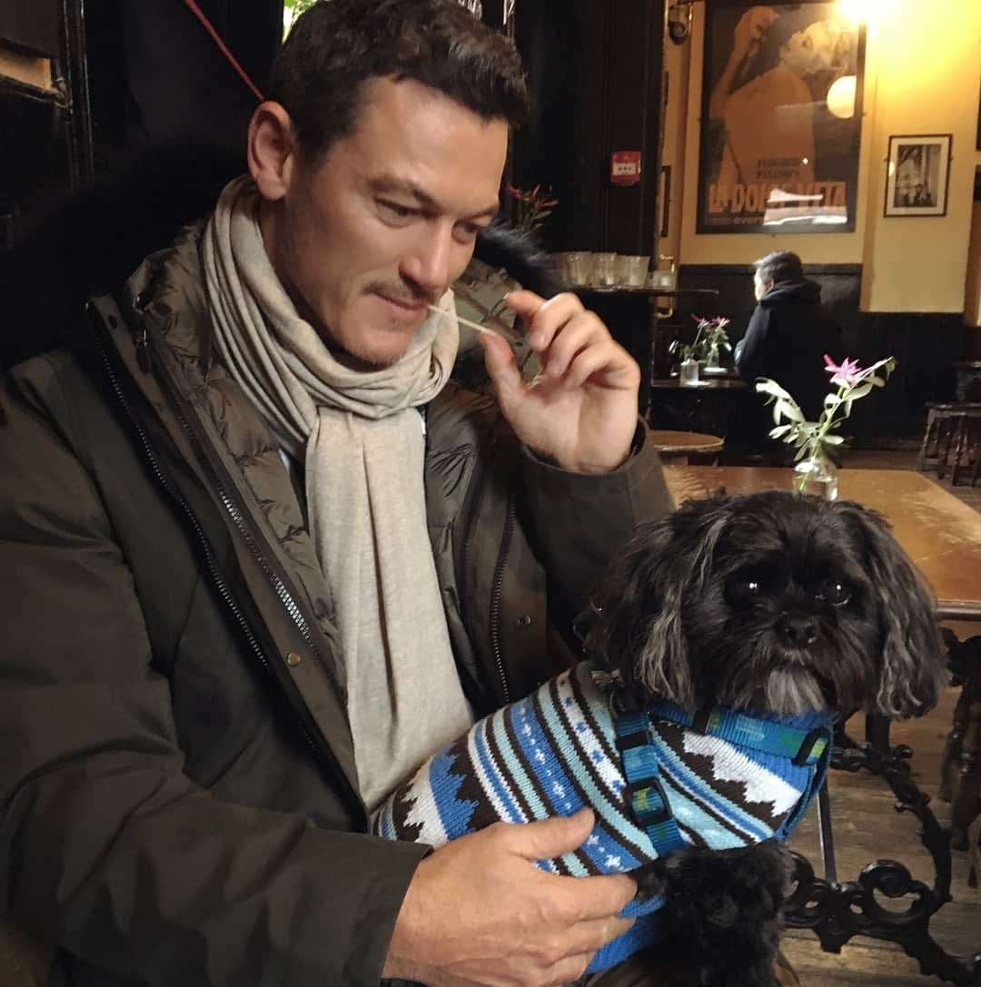 ルーク・エヴァンズさんのインスタグラム写真 - (ルーク・エヴァンズInstagram)「Pub life #dogsofinstagram #happyweekend everyone!! 🌟」1月19日 22時59分 - thereallukeevans