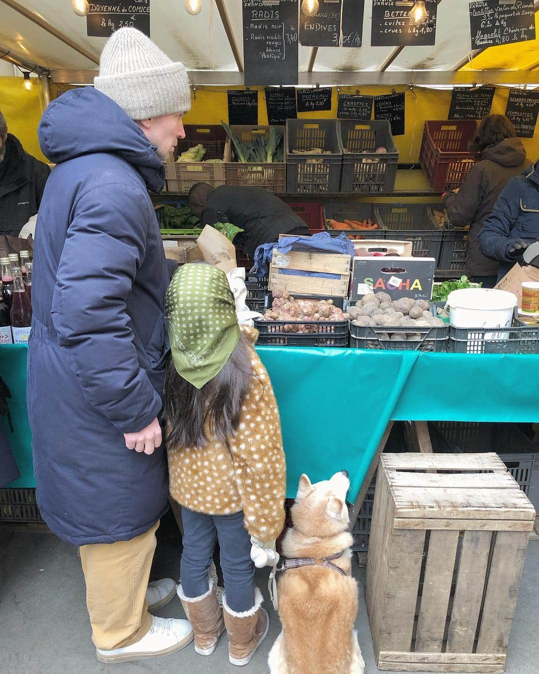 フィロとポンポンさんのインスタグラム写真 - (フィロとポンポンInstagram)「Samedi matin, les rues du Marais s’éveillent doucement tandis qu’au Marché des Enfants Rouges les gourmands sont déjà nombreux pour acheter les meilleurs fruits et légumes de Mr Rigault....🍐🥬🥕🍎🥦」1月20日 2時34分 - philo_pompon