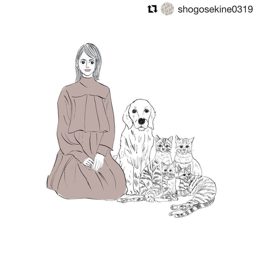 石田ゆり子さんのインスタグラム写真 - (石田ゆり子Instagram)「わたしのアイコンを 描いてくださってるのは 関根正悟さん。 はちみつ兄弟が 追加されました😊😊 今後ともこの五匹と私をどうぞよろしくお願い申し上げます。関根さんありがとうございます👏🏻😭 #@shogosekine0319」1月20日 12時37分 - yuriyuri1003