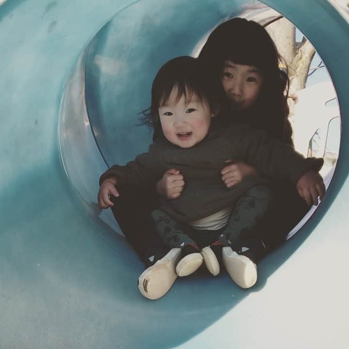 omatsuriccoのインスタグラム：「#今日のドルジ #今日のバザル 2019.1.20 ・ 公園日和〜☀️」