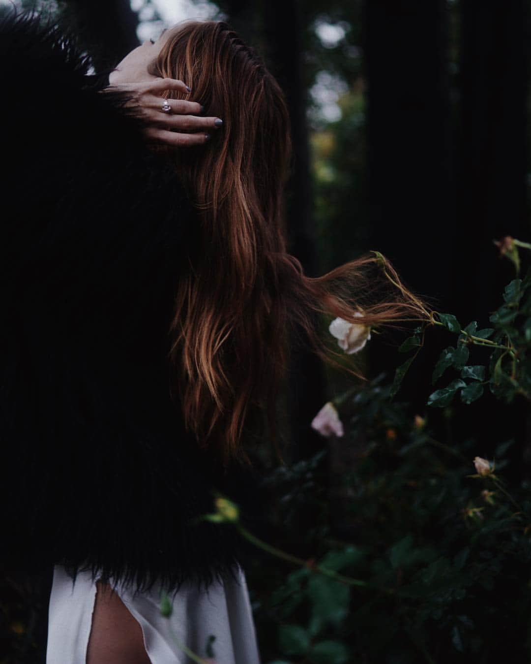 デビー・ライアンのインスタグラム：「whimsical shadowed fairy day with @brittneypanda ✨」