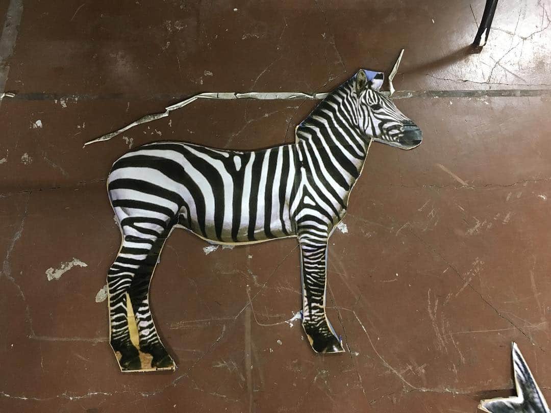 まさやんさんのインスタグラム写真 まさやんinstagram 19 1 19 神戸ワールド記念ホール Pinefields Music Zoo Kobe太陽と虎 Around 10th Anniversary Music Zoo World Day 1 おもしろい生き物の世界 8種類の動物 四星球小道具図鑑 ズーワル 1月日 9