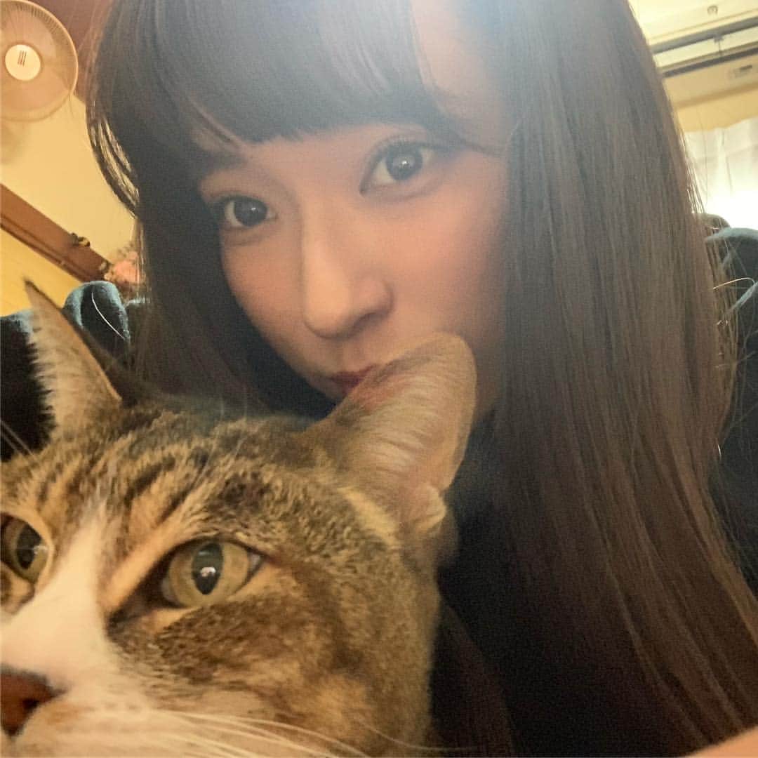 駒形咲希のインスタグラム：「. . . 最近投稿できてないな お正月におばあちゃんちのねこと自撮り🤳 . . . #モデル #女子大生 #黒髪 #地元 #おばあちゃん家 #猫 #cat #selfie #ディスカバリーネクスト #model #girl #me #tokyo #japan #photo #camera #pic #picture #cute」